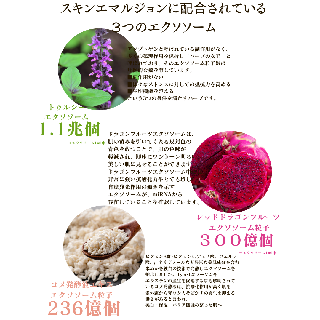 オリジネイチャー スキンエマルジョン(エクソソーム配合)