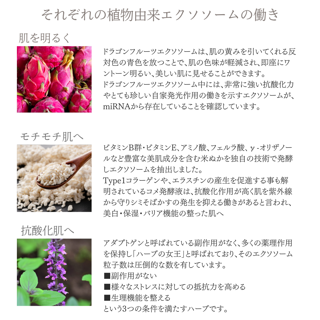 オリジネイチャー スキンエマルジョン(エクソソーム配合)