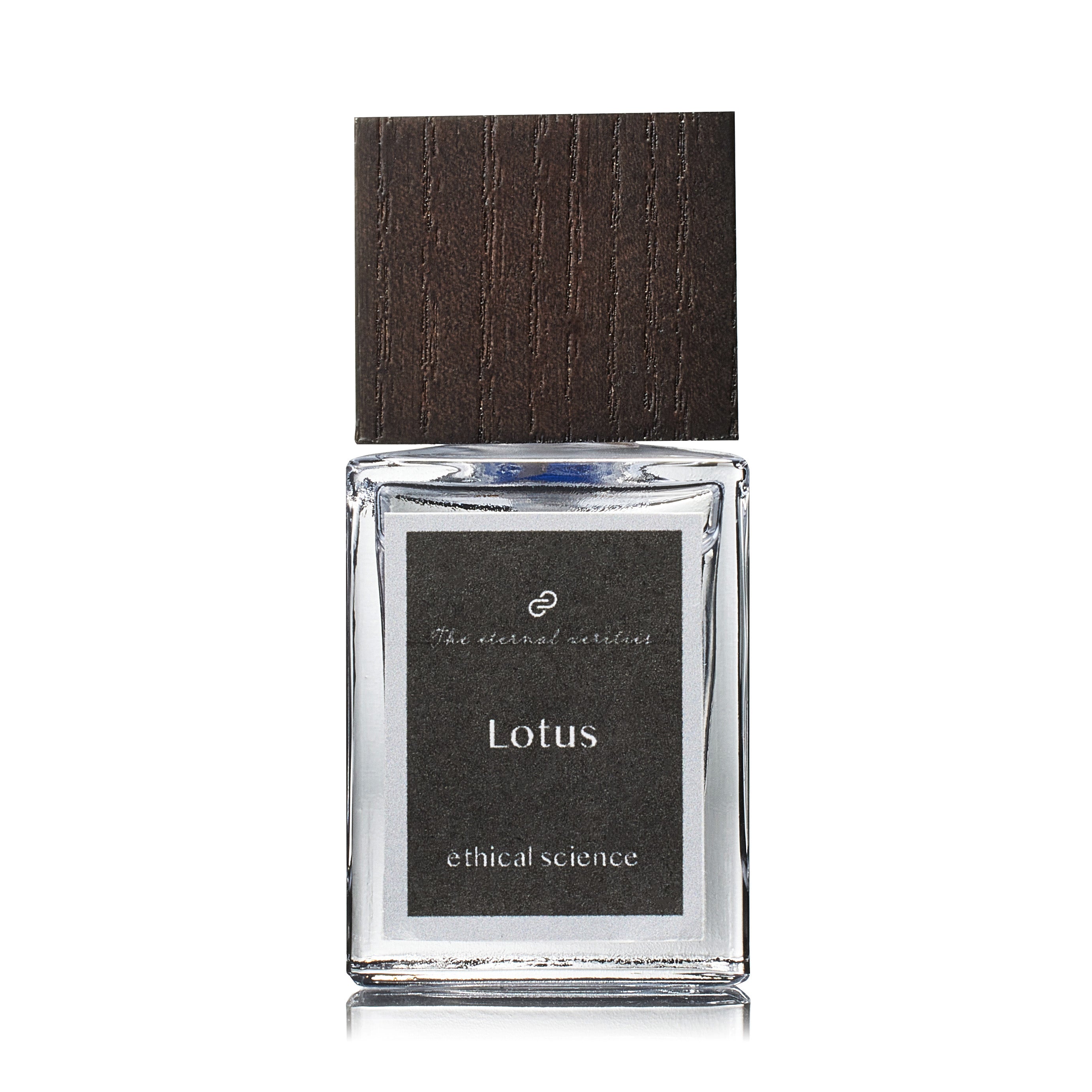 エターナルベリティーズ メディテーションインセンス [Spicy