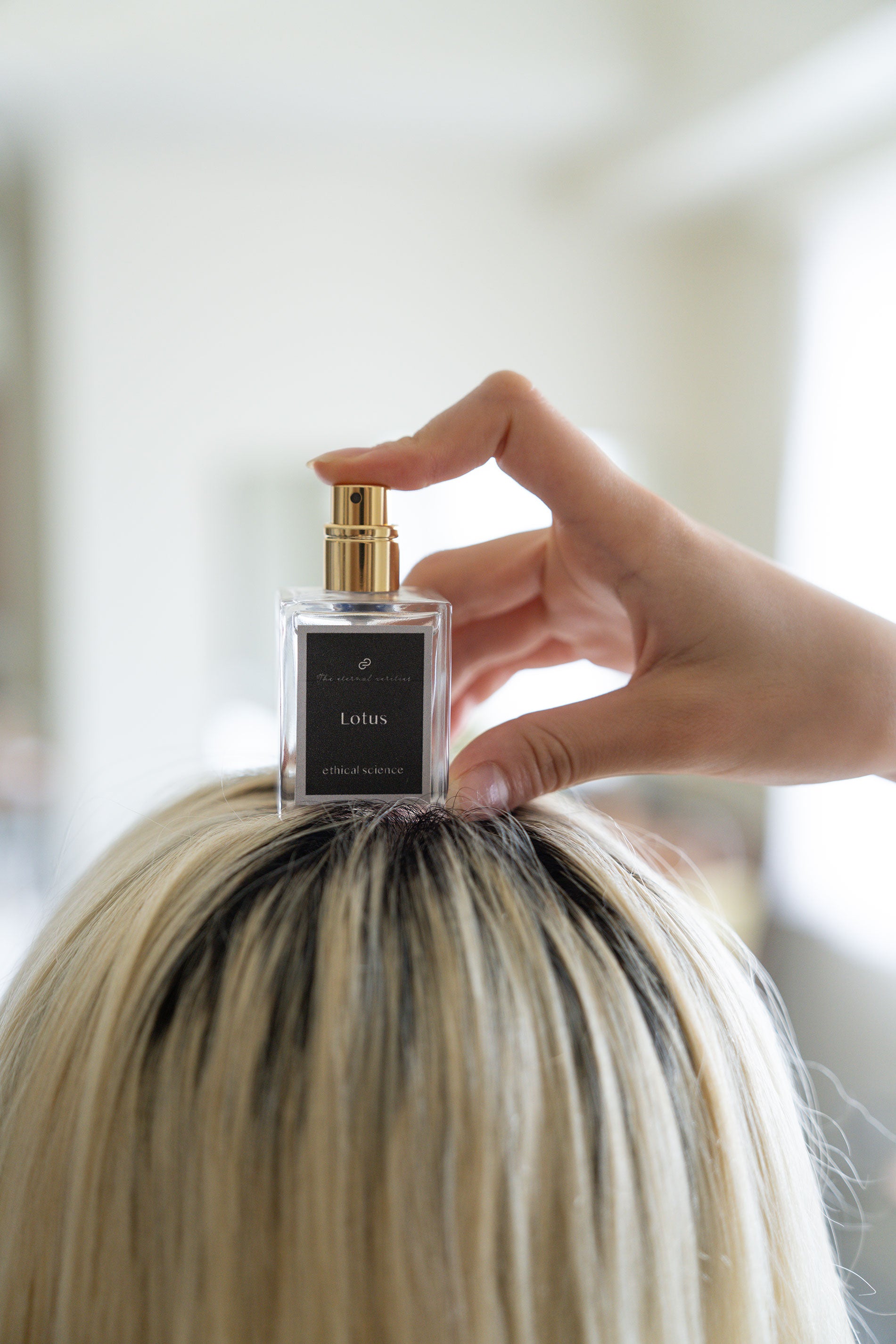 エターナルベリティーズ メディテーションインセンス [Lotus